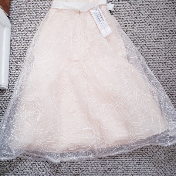 BCBG Embroidered Illusion Dress - Picture 8 of 8